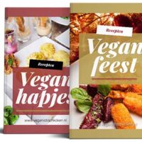 vegan feestbundel