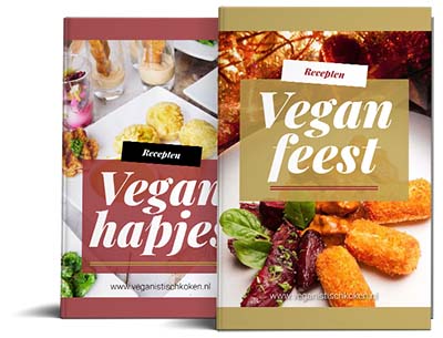vegan feestbundel