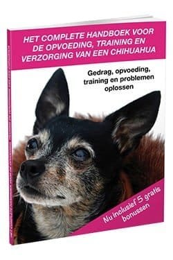 Chihuahua Handboek