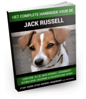 Handboek jack russell