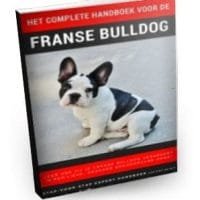 Handboek voor de Franse bulldog