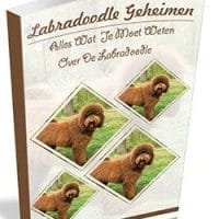 Labradoodle geheimen - Piet de Jong e-book Labradoodle Geheimen