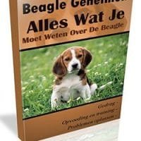 beagle geheimen