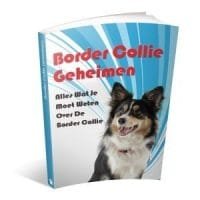 border collie geheimen reviews