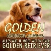 Golden Retriever Geheimen Handboek golden retriever handboek review