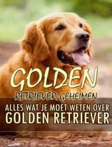 golden retriever handboek review