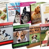 hondenboeken