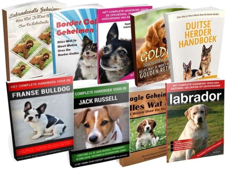 hondenboeken