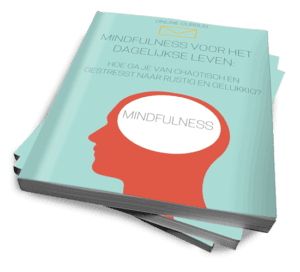 Mindfulness voor het dagelijkse leven
