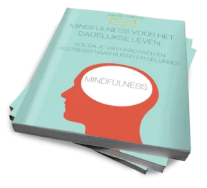 Mindfulness voor het dagelijkse leven