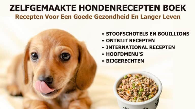 zelfgemaakte hondenrecepten boek
